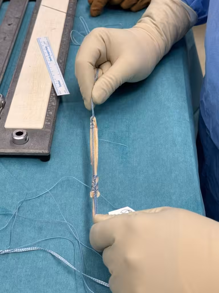 Case Image